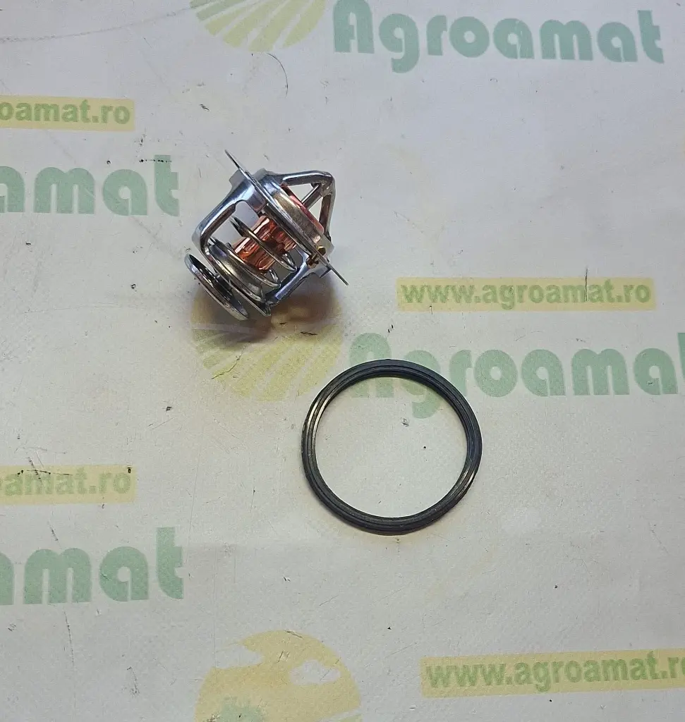 bb73d680-cae0-48ef-a4b2-e95509d68f00.webp