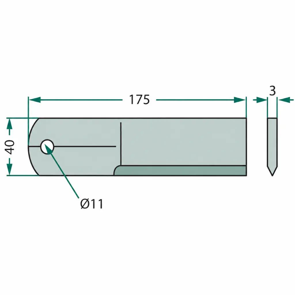 11.webp