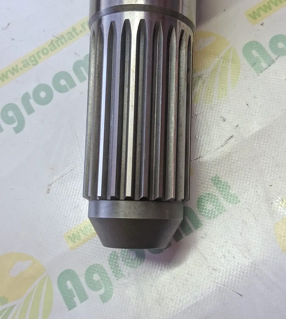 a7ed4220-4a87-4116-b421-ed9019ddd3bf.webp