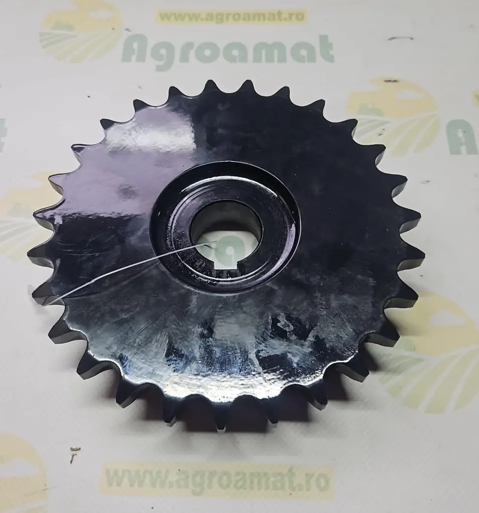 e43324f9-b45b-4244-9143-30881ab0aca0.webp