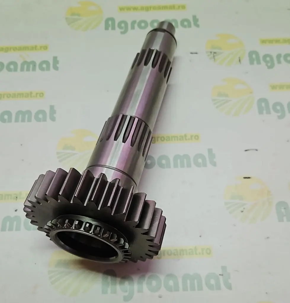 2e49ae4f-83cb-46c9-baeb-8577cb45ee66.webp