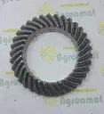 21c26c21-2ba4-4287-9fbe-175d1f3fbd55.webp
