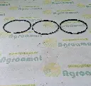 2e639fac-94eb-4c78-acd4-6deca8a76e41.webp