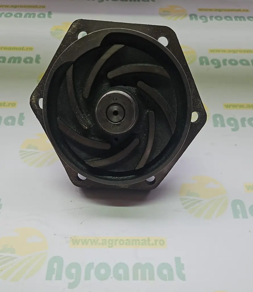 cc2406a3-ef03-45b8-81be-dd4d51ecad6c.webp
