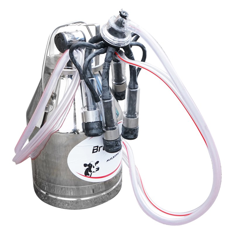 Imagine produs 3