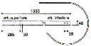 e964505