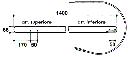 cfa2b75