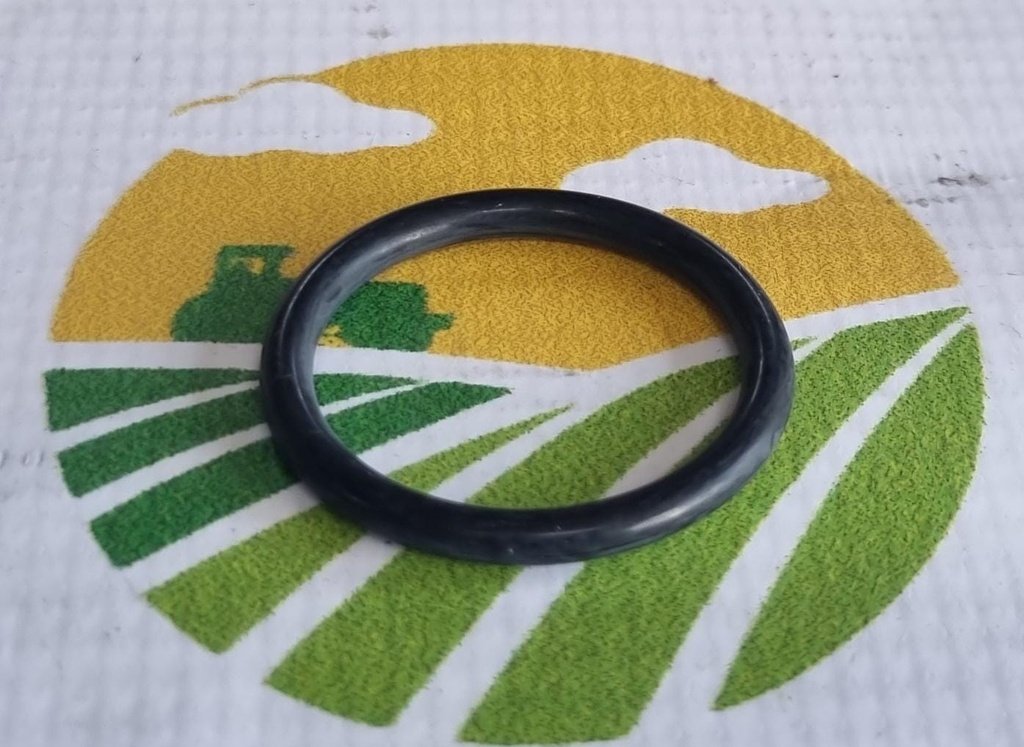 O-Ring X548891266000