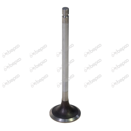  Ø 39.00 x 8.00 mm - L 145.00 mm - 30
