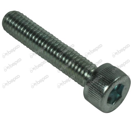 SCREW 