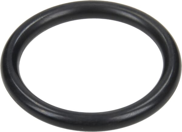 O-ring 31,5x4,25mm 70 shore negru Annovi Reverberi