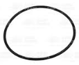 O-Ring Org.