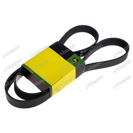RIBBED BELT 