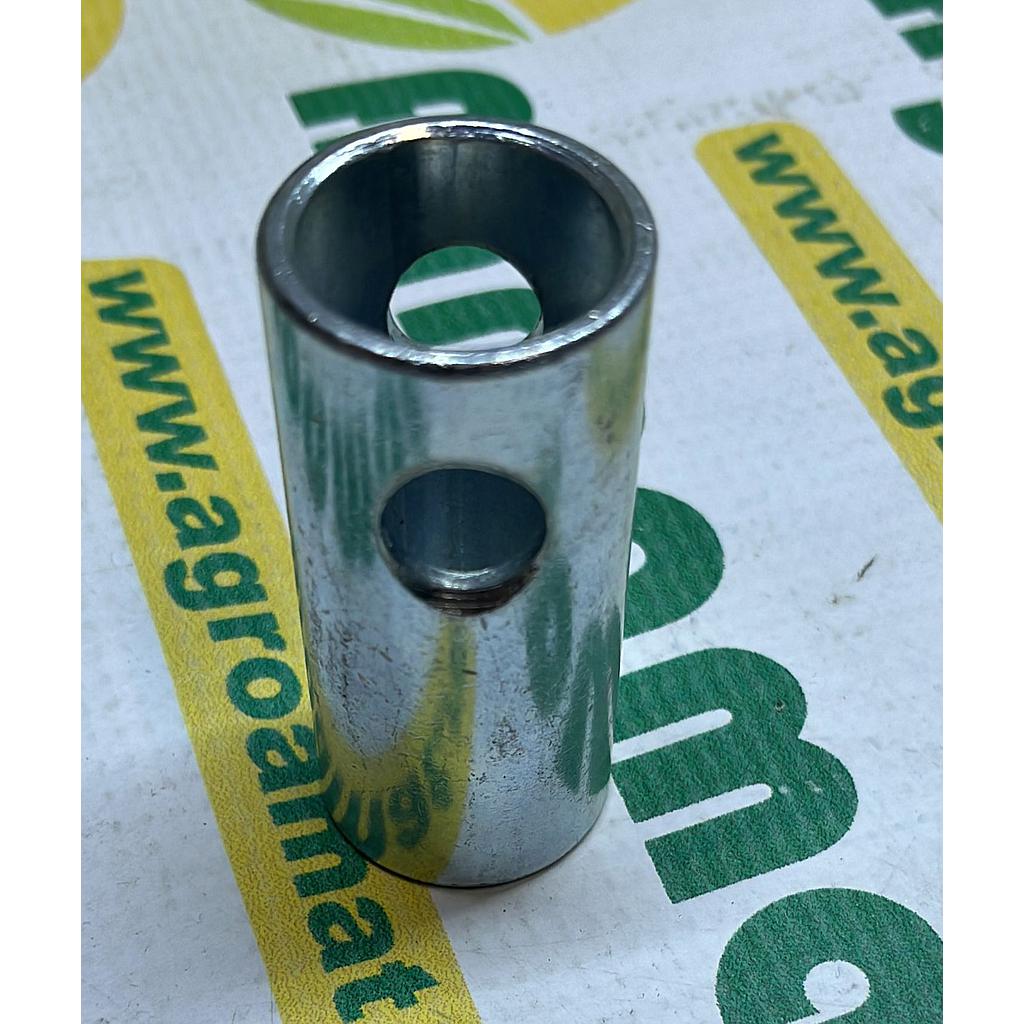 Bucsa