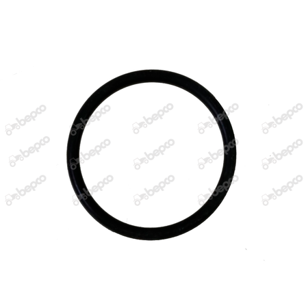 O-RING 1,78X20,35