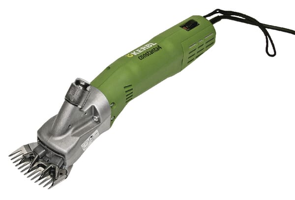 Clippers, Constanta 4 sheep 4/13t 400 W