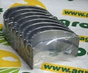 Set Cuzineti 24/3-37C