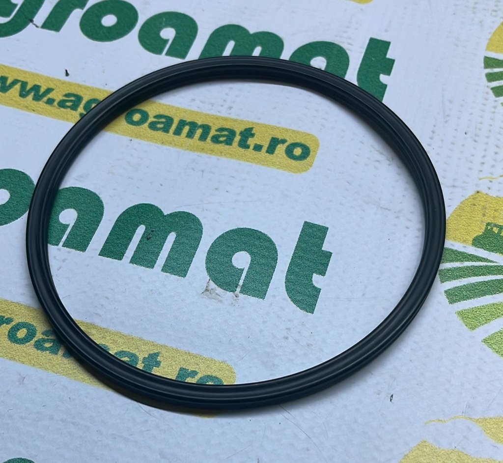 O-Ring Punte Fata 3713940M1 110x119x5MM