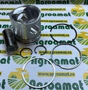 Set Piston 3929161