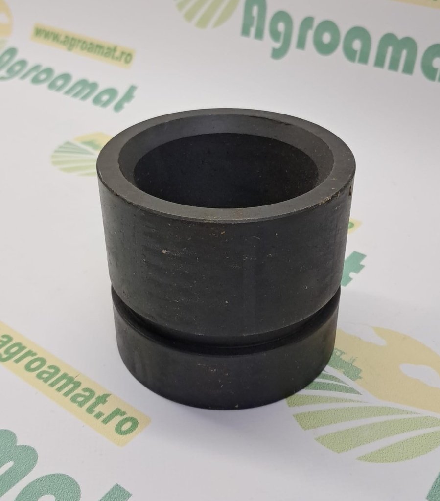 Piston Cilindru