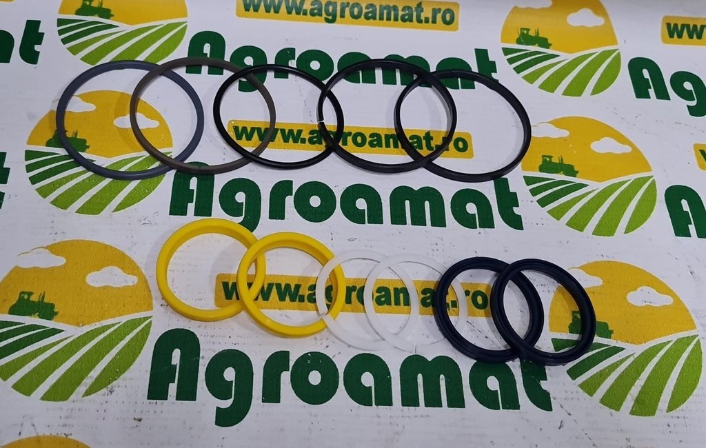 Set Garnituri Cilindru Directie  1341819C1