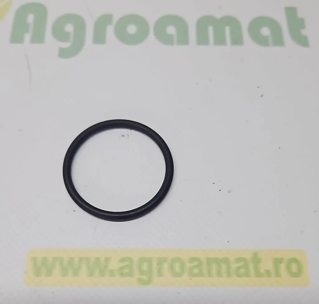 O-ring