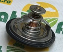 Termostat G199204010020