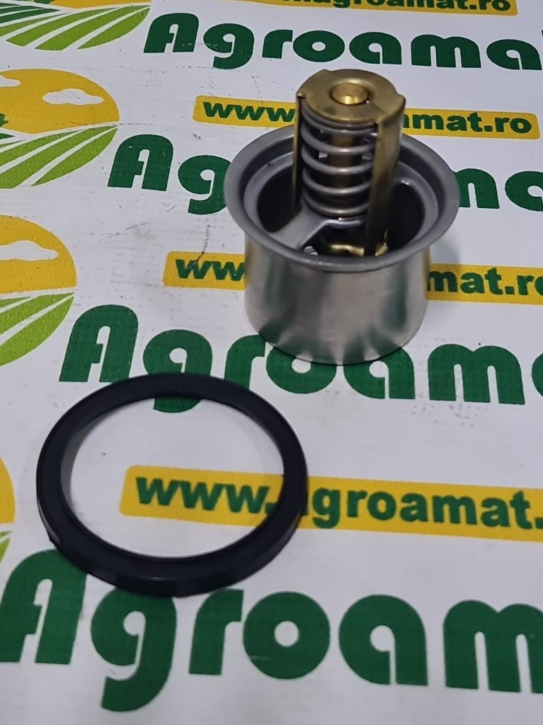 Termostat 87698668