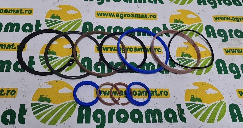 Set Garnituri Cilindru G001990011420
