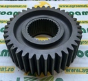 Pinion (Z-37) 669438