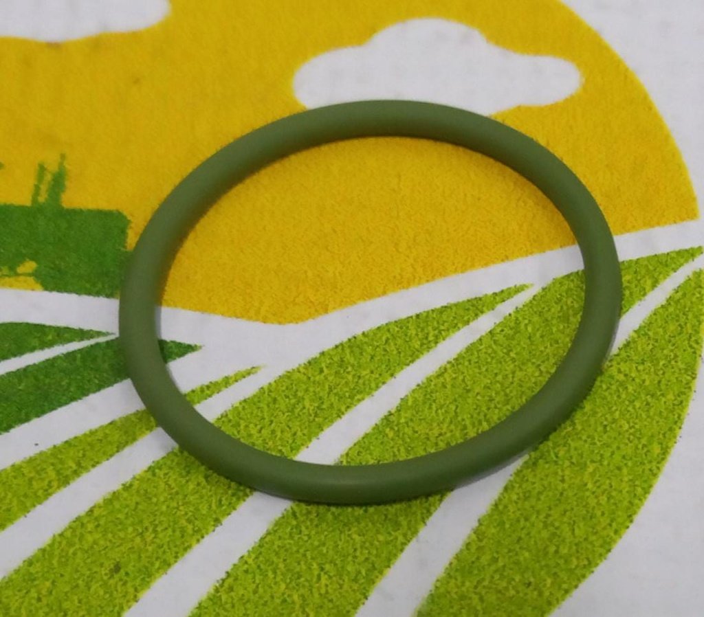 O-ring FI 19