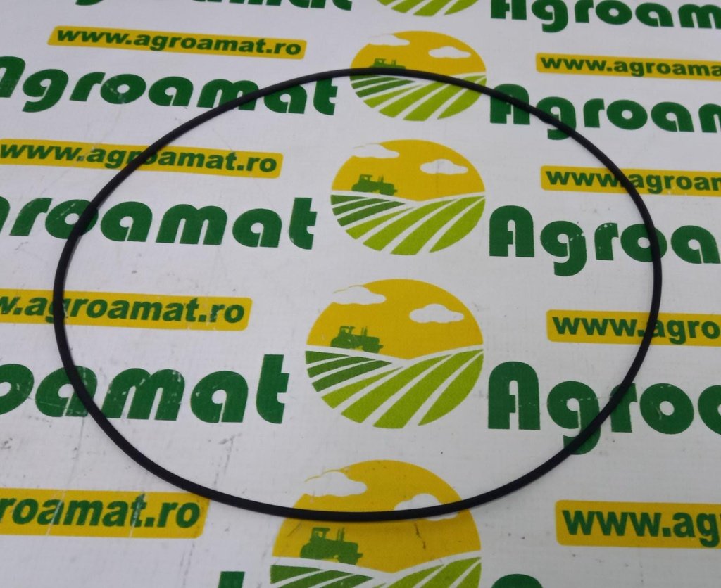 [AMAT1-07442] O-Ring Merlo 024941