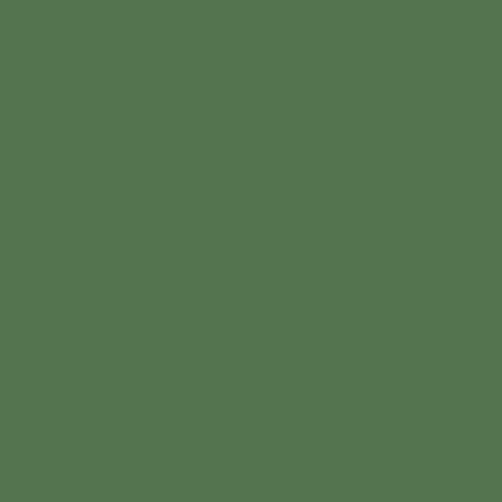 Vopsea Fend Verde Inchis 0.75l