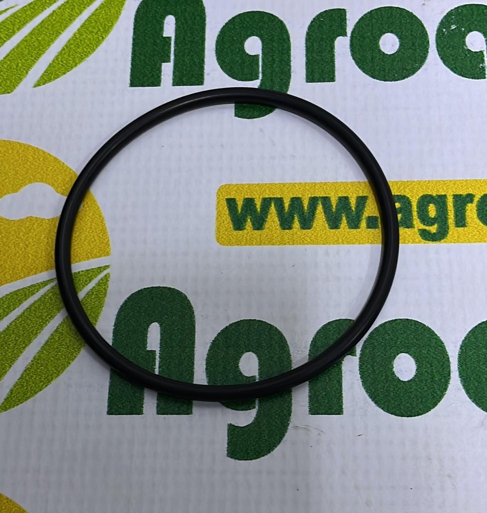 O-Ring X548968200000