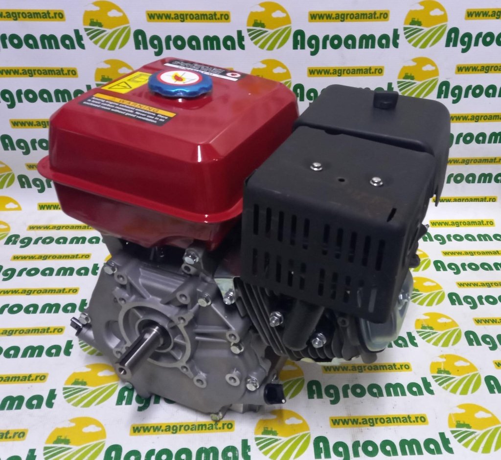 Motor pe Benzina 9CP