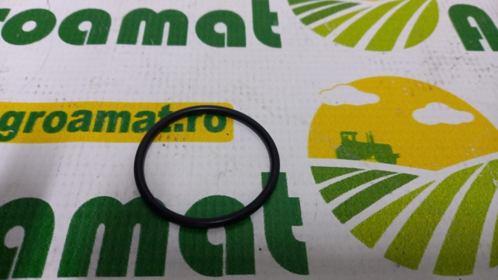 O-Ring 0007123261