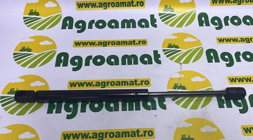 Amortizor Portiera 6005014318