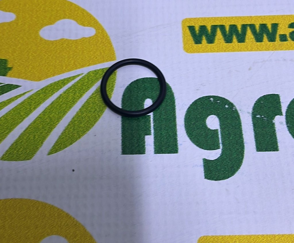 O-Ring 213435