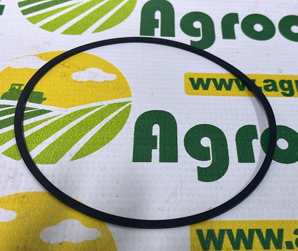 O-ring transmisie 401724R1