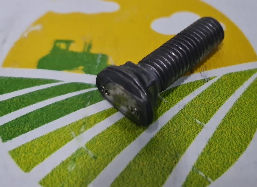 Surub Brazdar M10x38