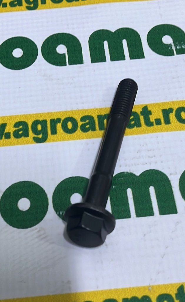 Surub  R522554