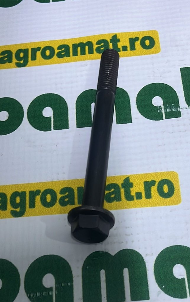 Surub R521323