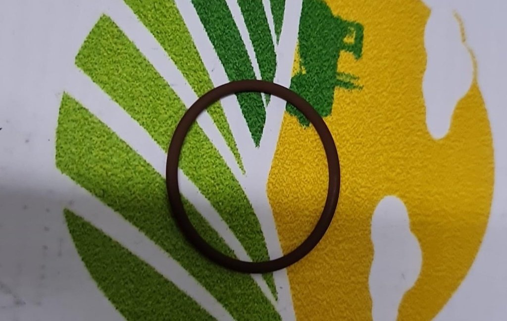 O-ring 17279081