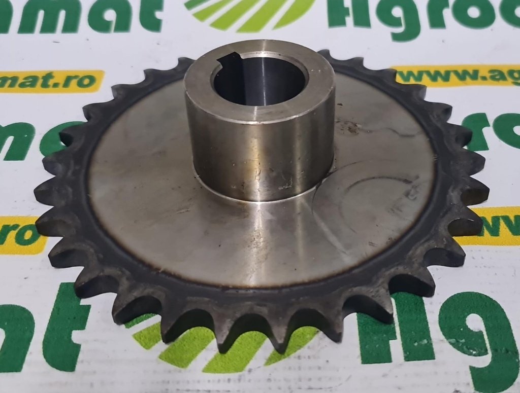 Pinion Org. AZ63542