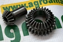 Set Pinioane Pompa Ulei 0.065.1558.6/10