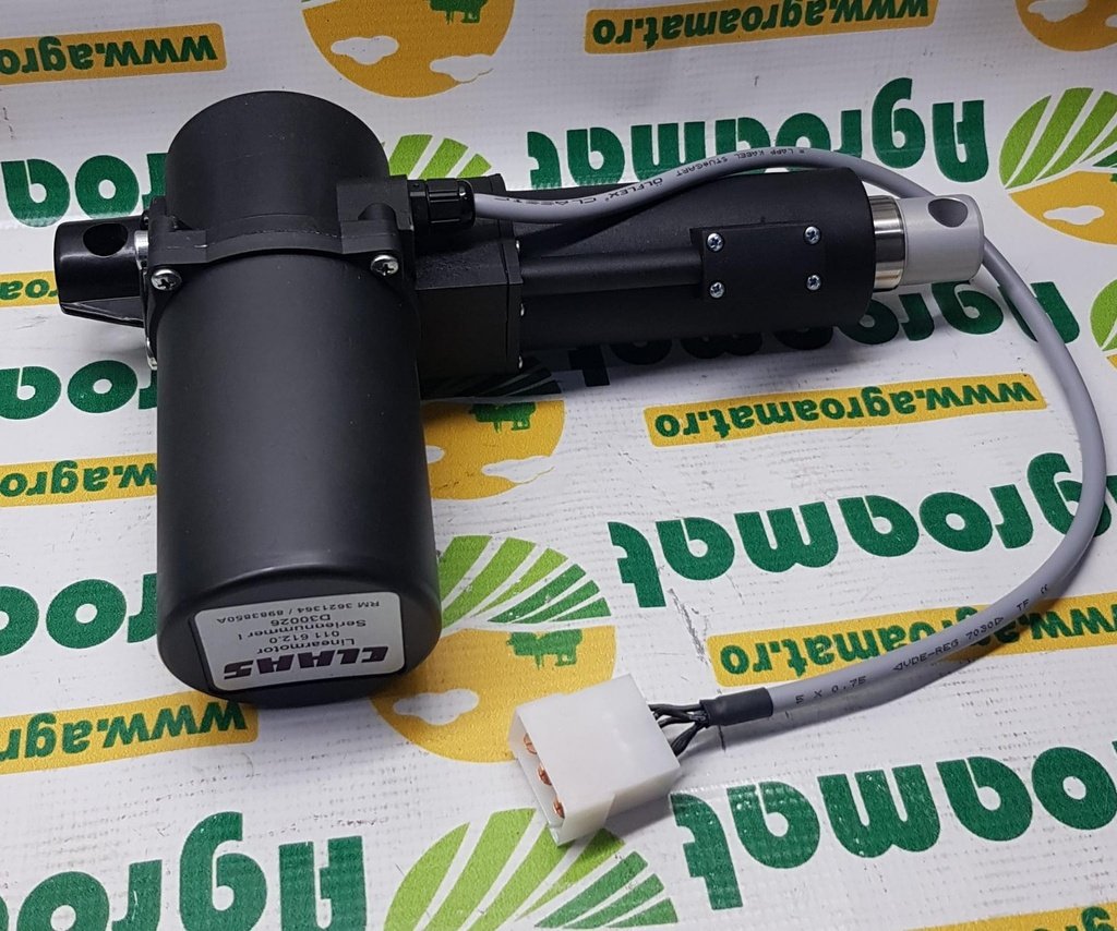 Motoras Site 12V Org.