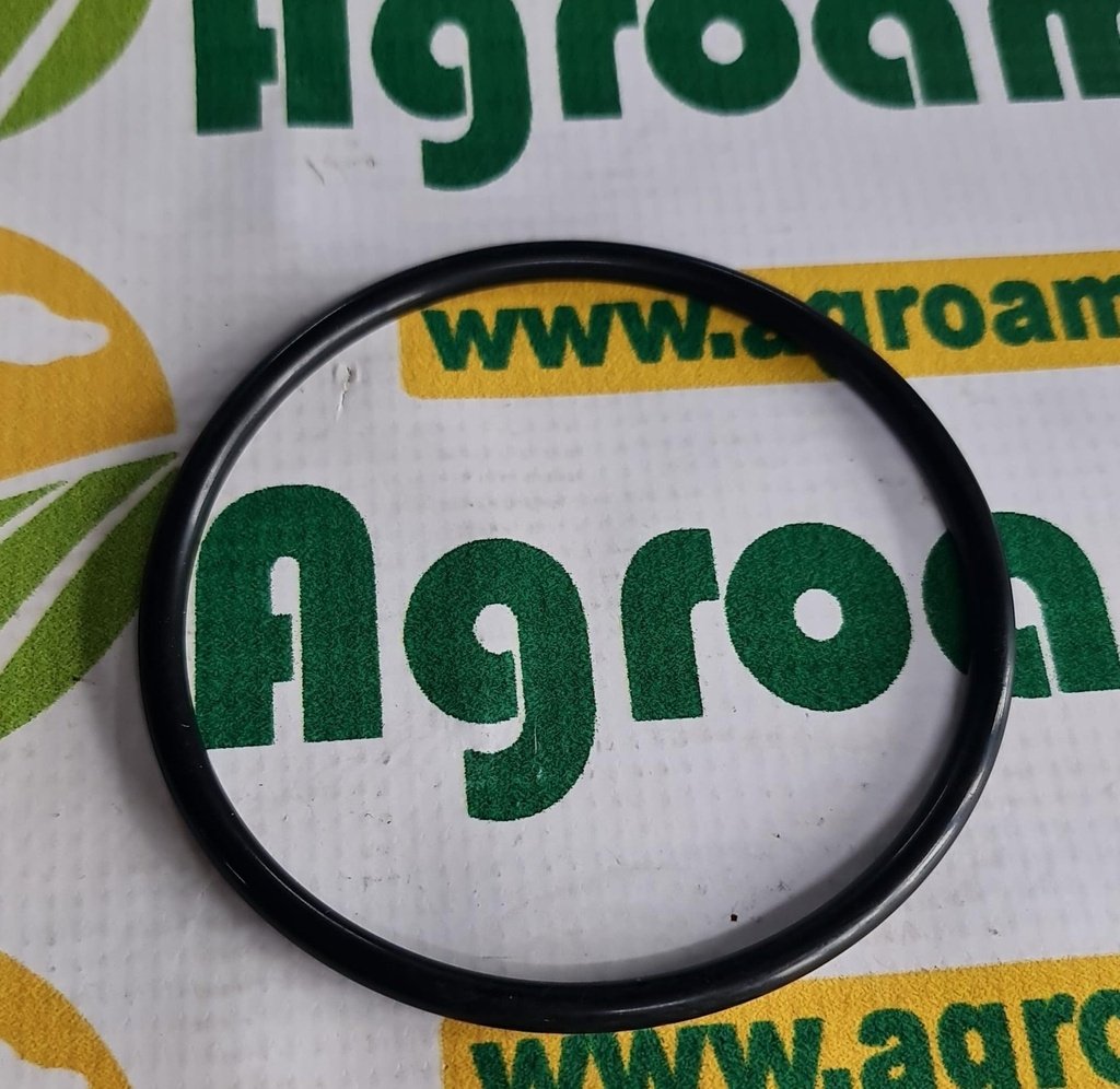 O-ring 3019929X1