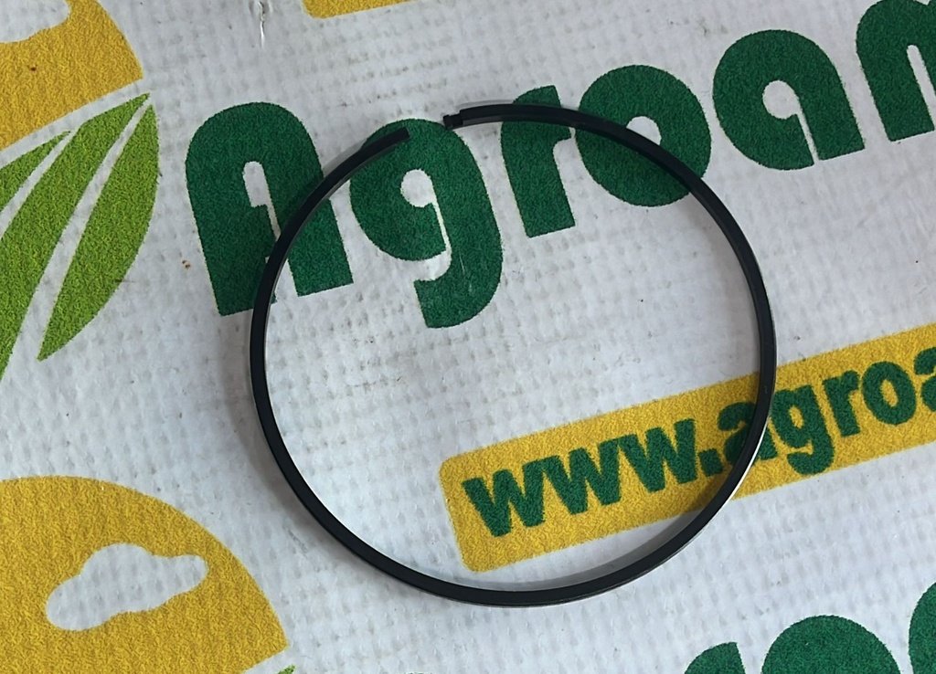 Segment piston L33117