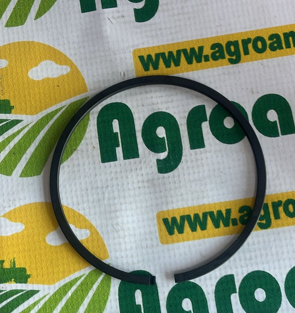 Segment Piston 51M7017
