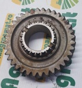 Pinion Z-36 , T21976